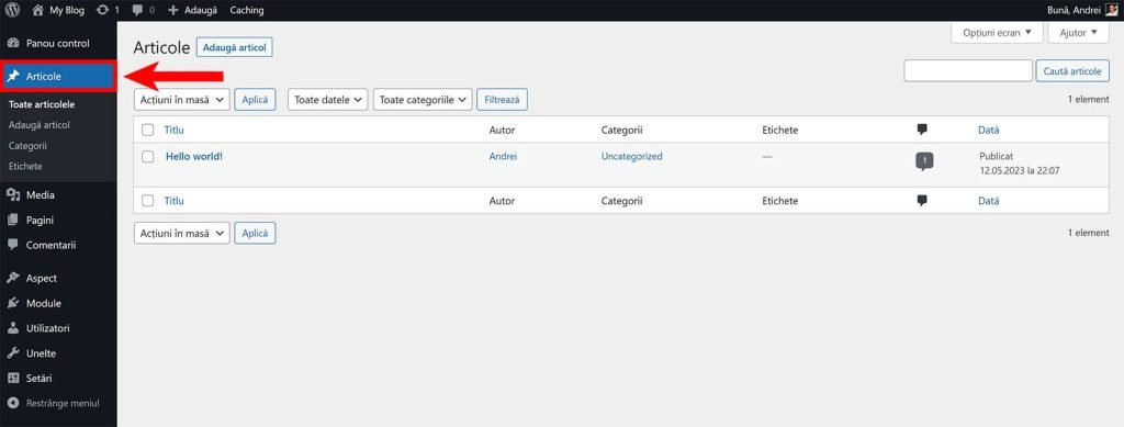 Articolele site-ului tau WordPress
