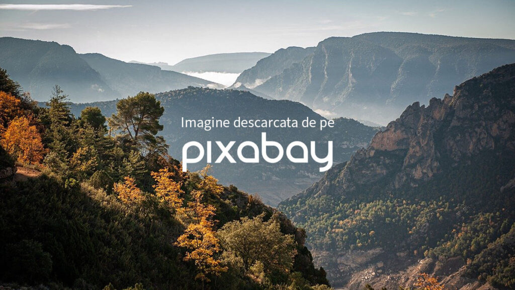 Imagine gratuita descarcata de pe Pixabay